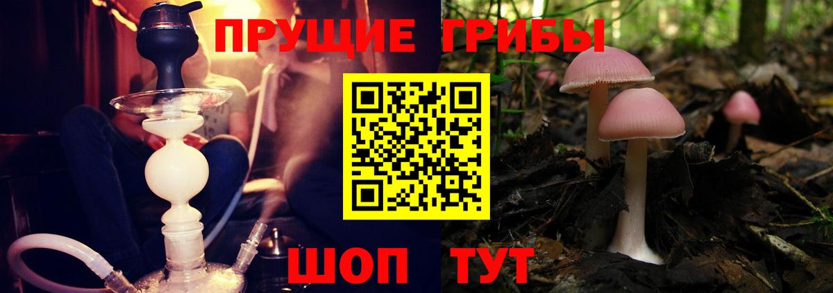 Псилоцибиновые грибы Magic Shrooms  Галлюциногенные грибы Psilocybe  Вход с VPN  дарнет шоп  Артём 